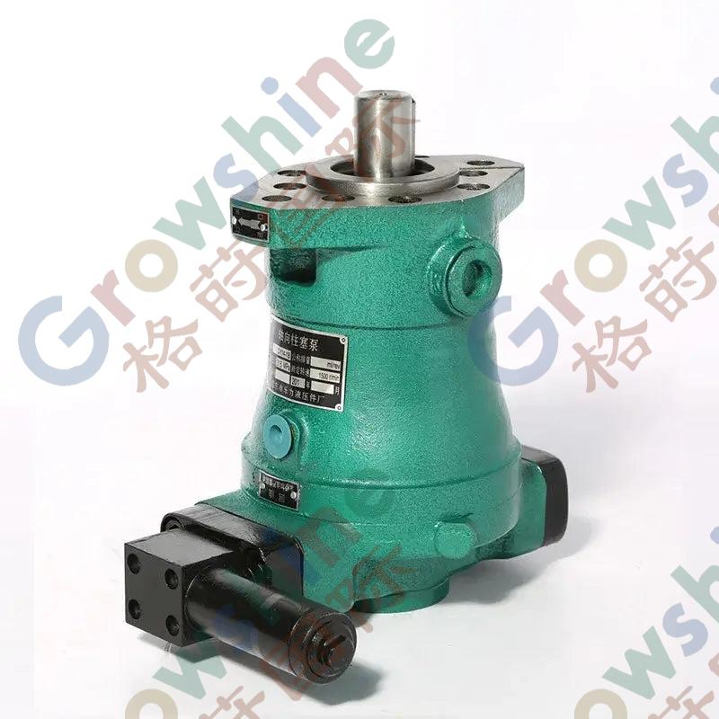 Hydraulic Pump for Metal Casting Machinery, 160YCY14-1b CY YCY MCY SCY BCY MYCY DCY BCY Axial piston oil pump