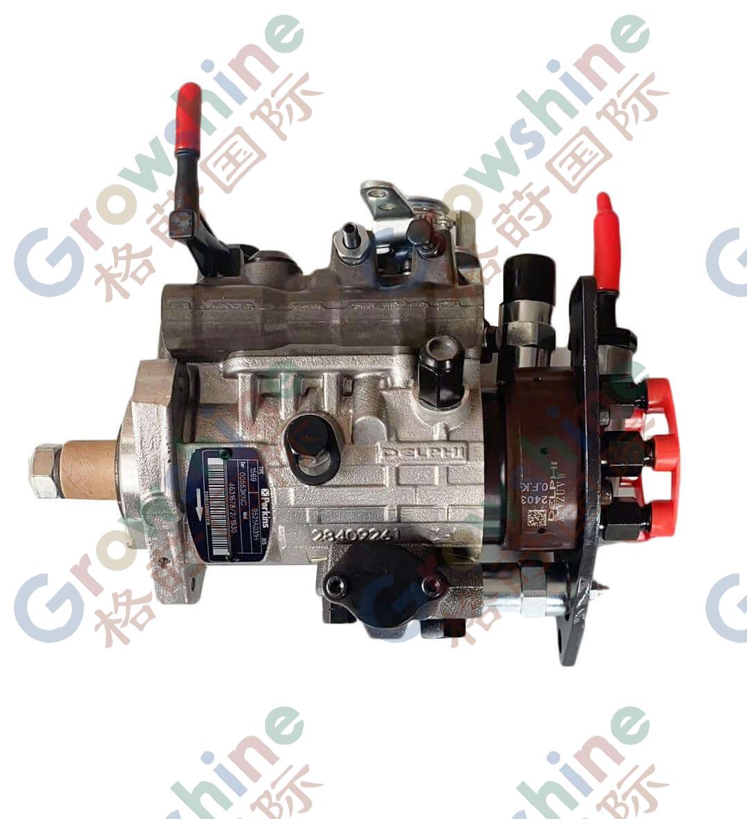 Fuel Injection Pump 9521A301T Generator