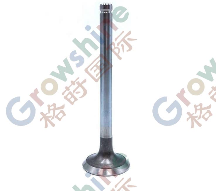 OEM No. 3142L072 3142A051 Intake and Exhaust Spare Parts Engine Valve For Perkins