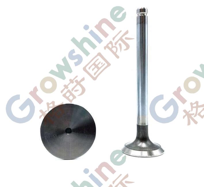OEM No. 3142L072 3142A051 Intake and Exhaust Spare Parts Engine Valve For Perkins