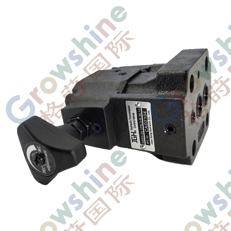 JGH SBSG Series hydraulic excavator solenoid control adjustable pressure relief valve SBSG-03/06/10 SBSG-03-2B3B 220V
