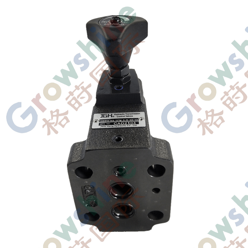JGH SBSG Series hydraulic excavator solenoid control adjustable pressure relief valve SBSG-03/06/10 SBSG-03-2B3B 220V