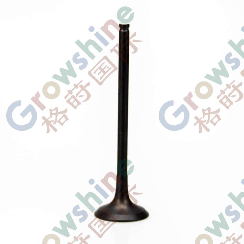 Engine Exhaust Valve 6680862 For Kubota Bobcat