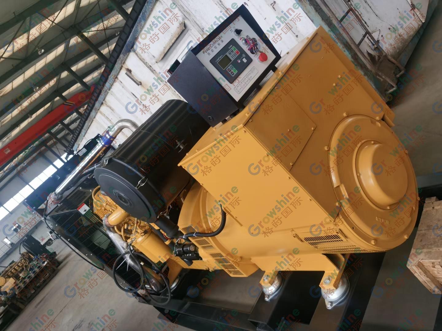 CAT 2506D generator set