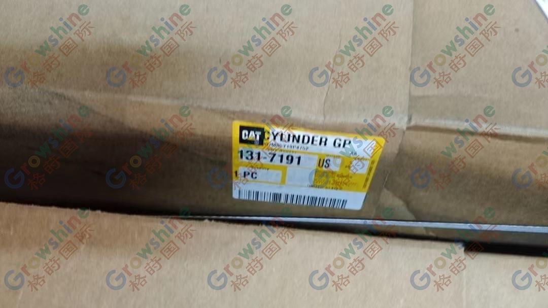 CAT Genuine new 131-7191 1317191