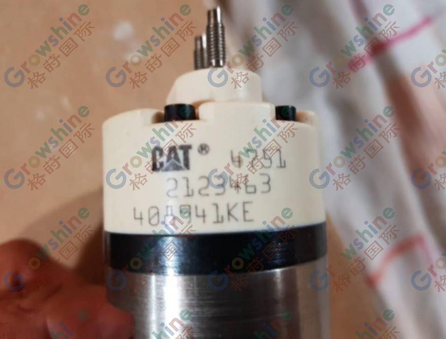 Caterpillar Genuine 2123463 Injector