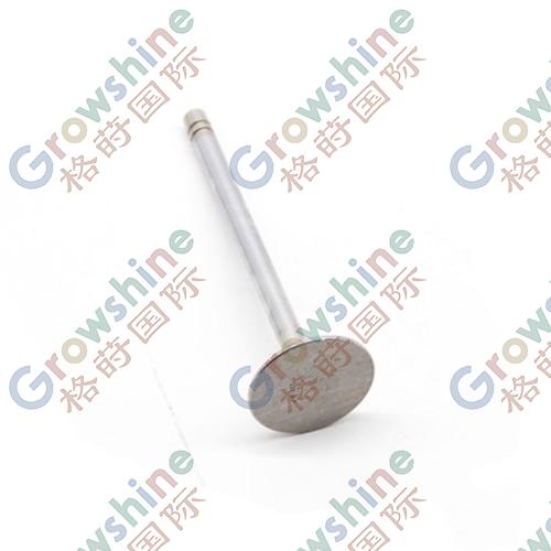 Original and brand new genuine valve 119-6772 caterpillar 3208 231D D3C engine valve 1196772
