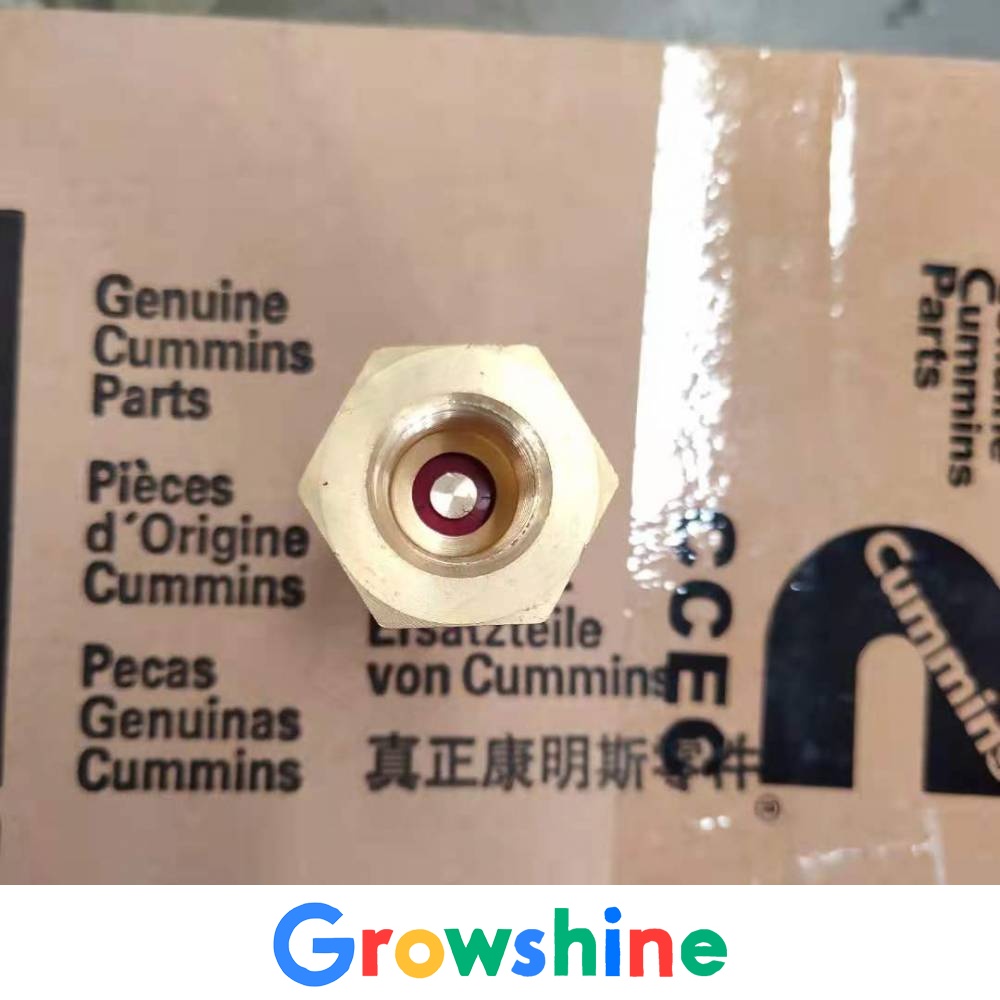 Beijing Cummins NT855 Check Valve Liugong CLGB230 Bulldozer Check Valve