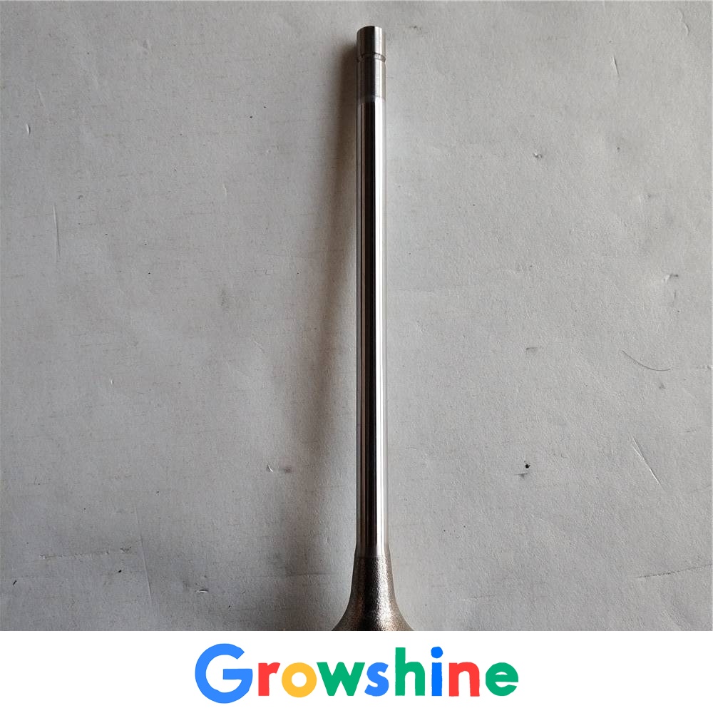 Yinchuan Cummins QSN inlet and exhaust valve 4999509 Liugong CLGB320 Xuangong SD7D