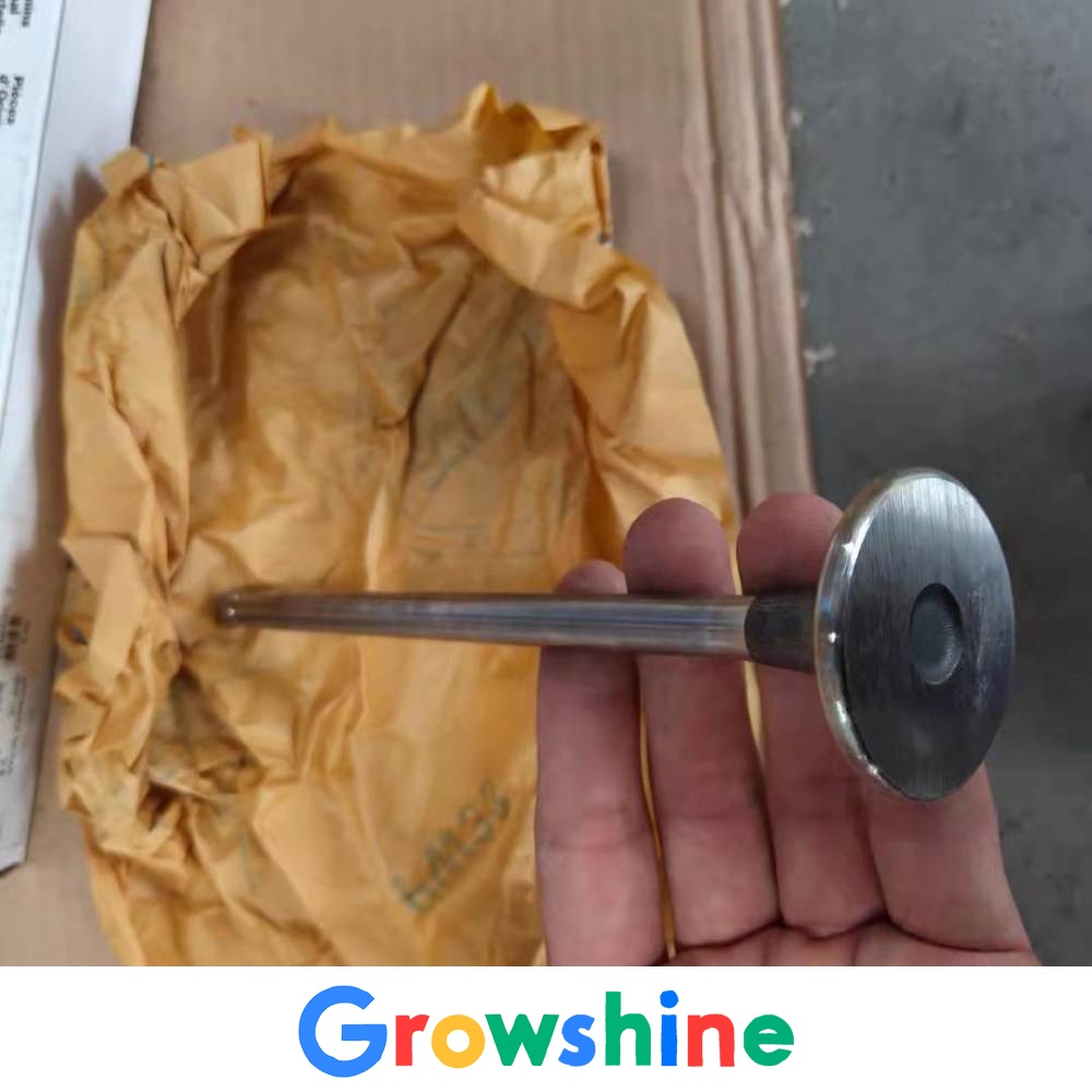 Cummins QSM11 exhaust valve 3417779 Liugong 945 excavator exhaust valve