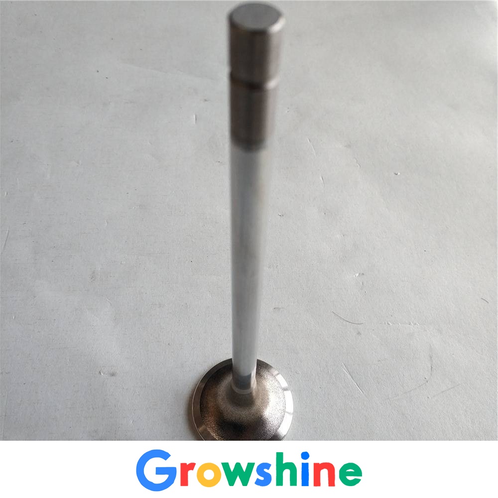 Gansu Cummins genuine supply QSN intake and exhaust valve 4999509