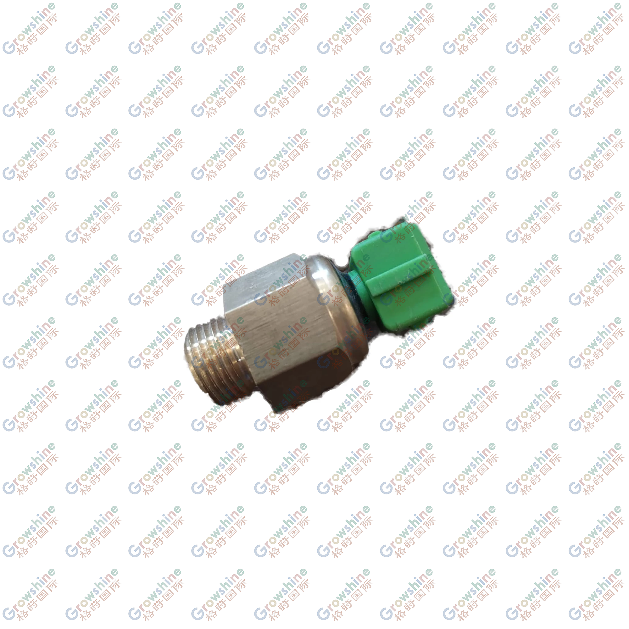 5PL36030: Coolant Temperature Sensor