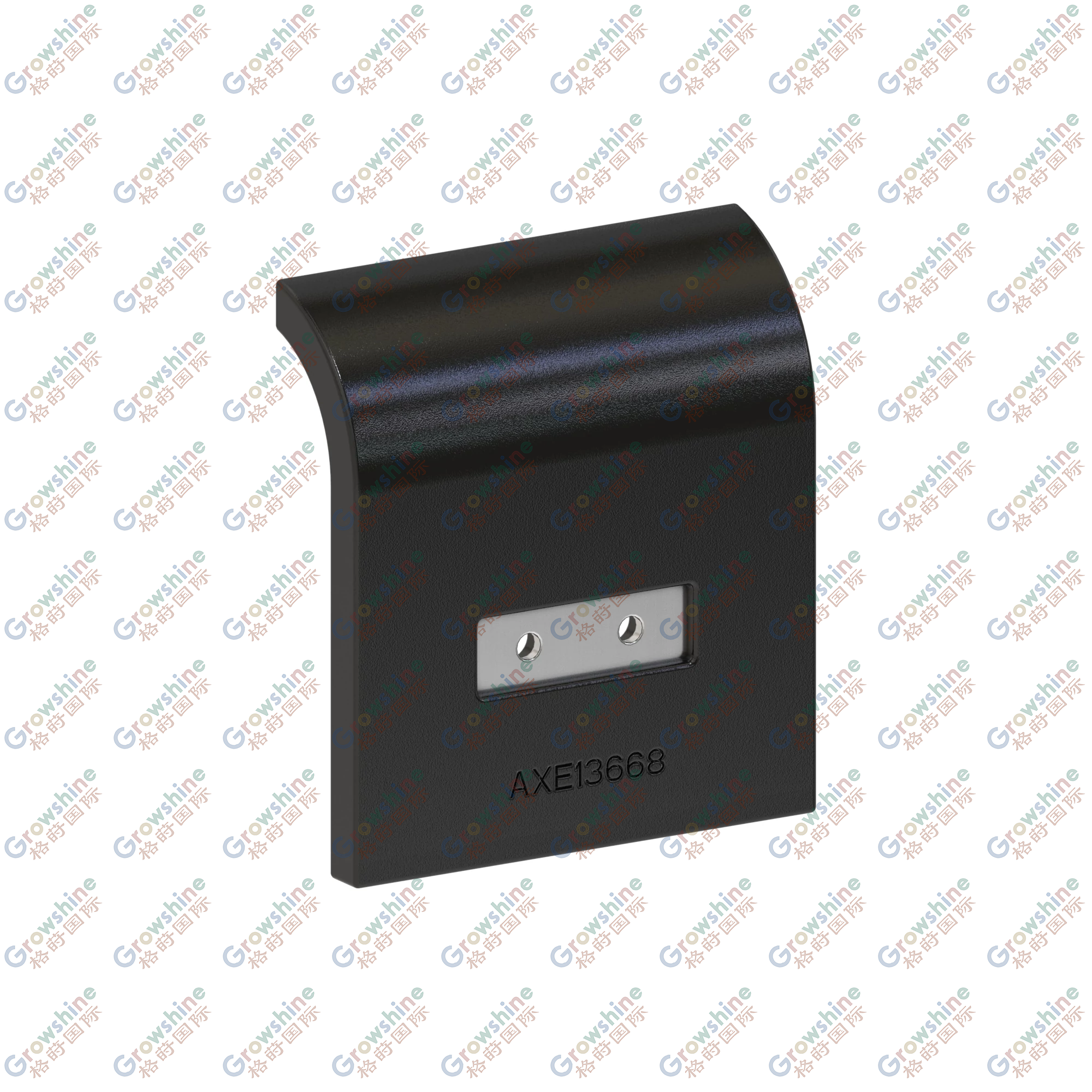 AXE13668: Mass Flow Sensor
