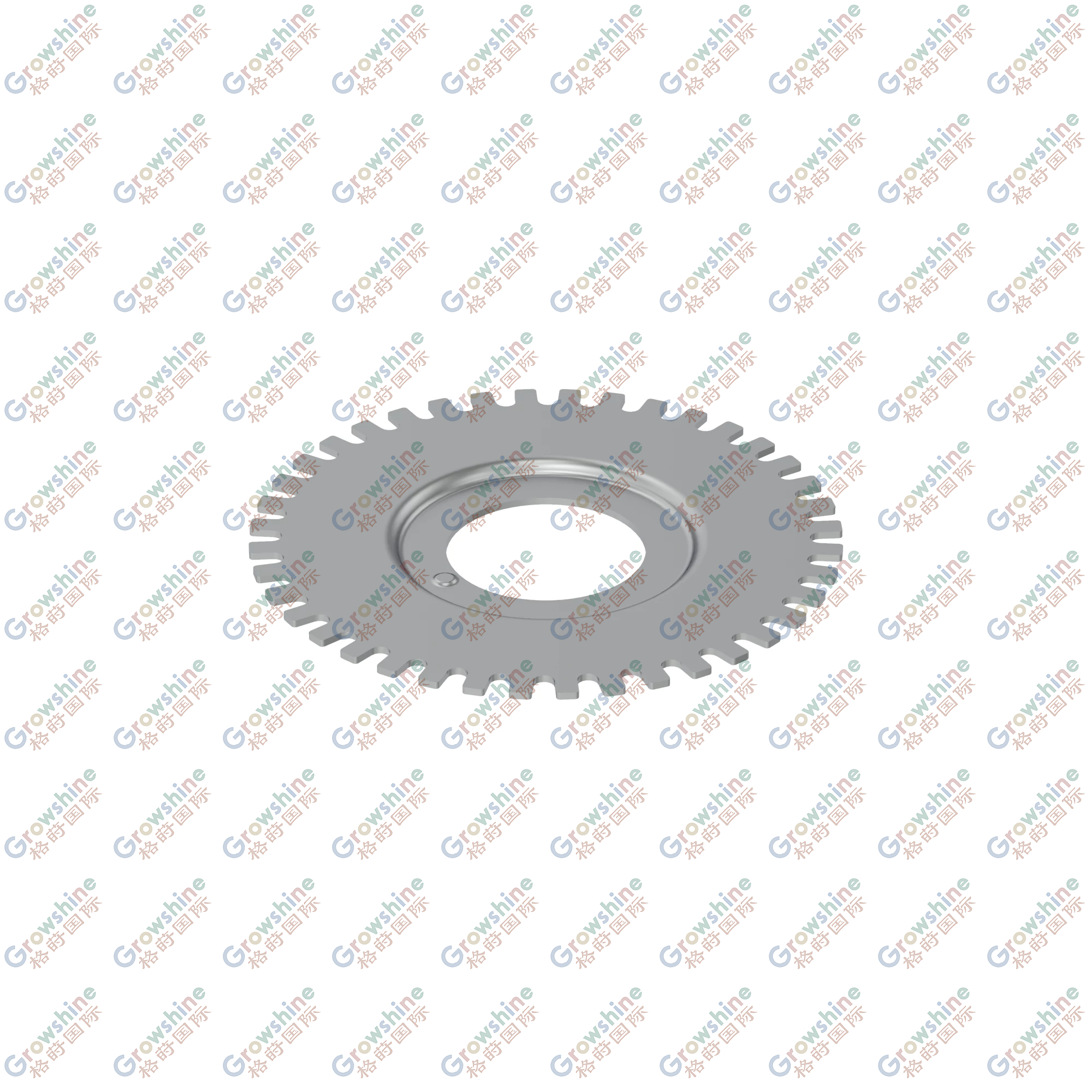 R275946: Speed Sensor Disk